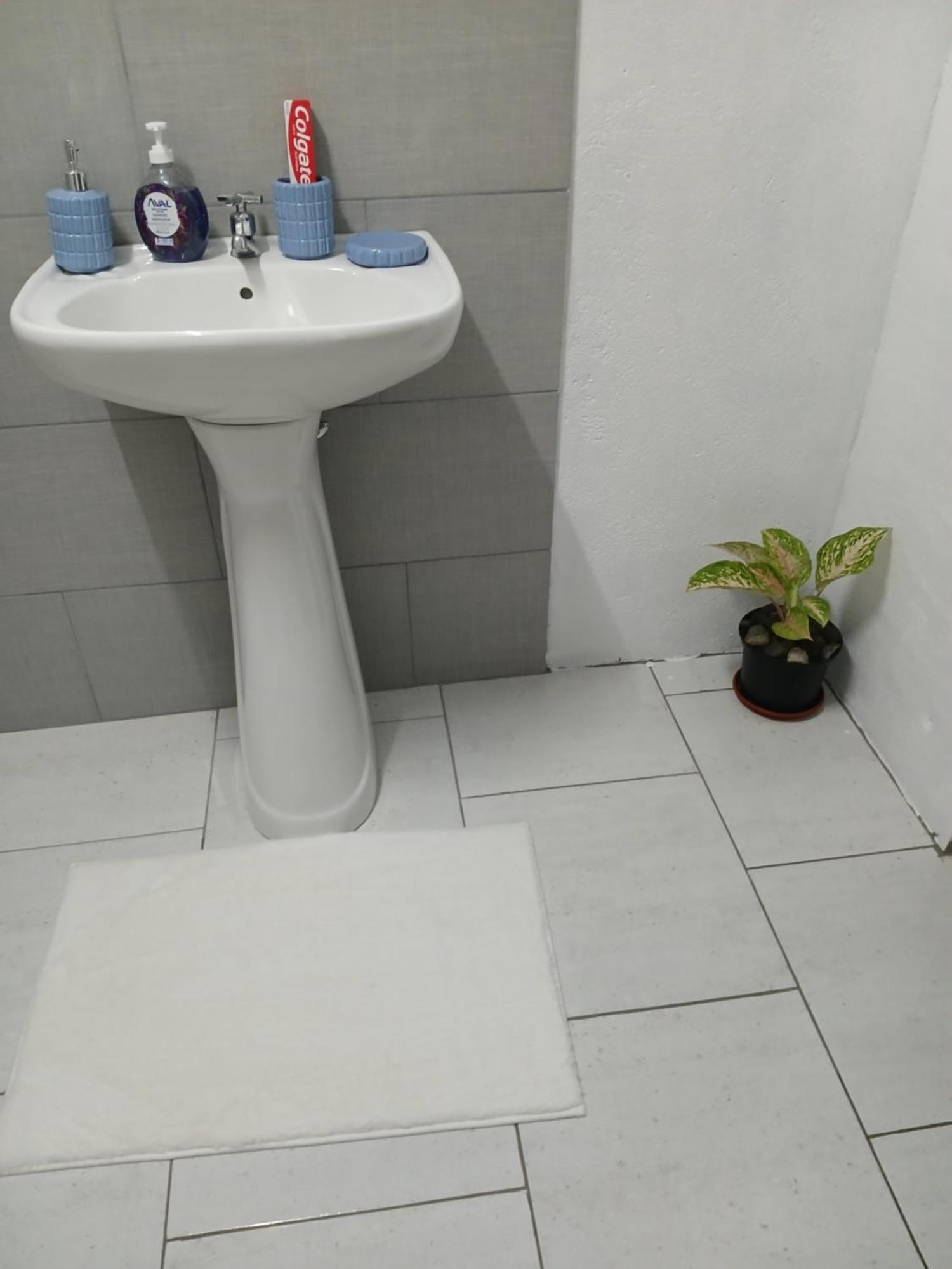 Natrue'S Haven Bed and Breakfast Marigot Εξωτερικό φωτογραφία