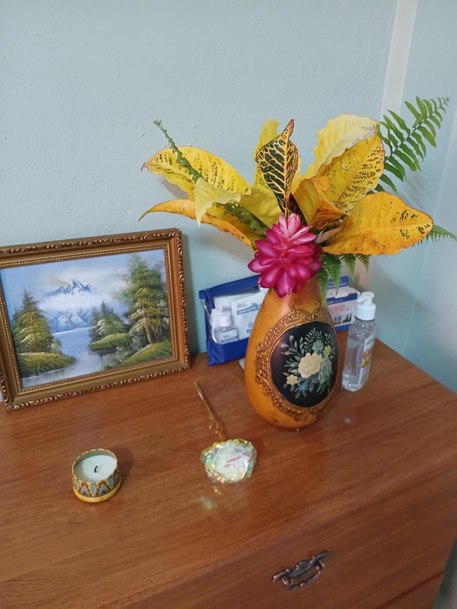 Natrue'S Haven Bed and Breakfast Marigot Εξωτερικό φωτογραφία